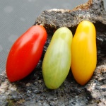 SET Cherry-Fläschchen Artikelbild